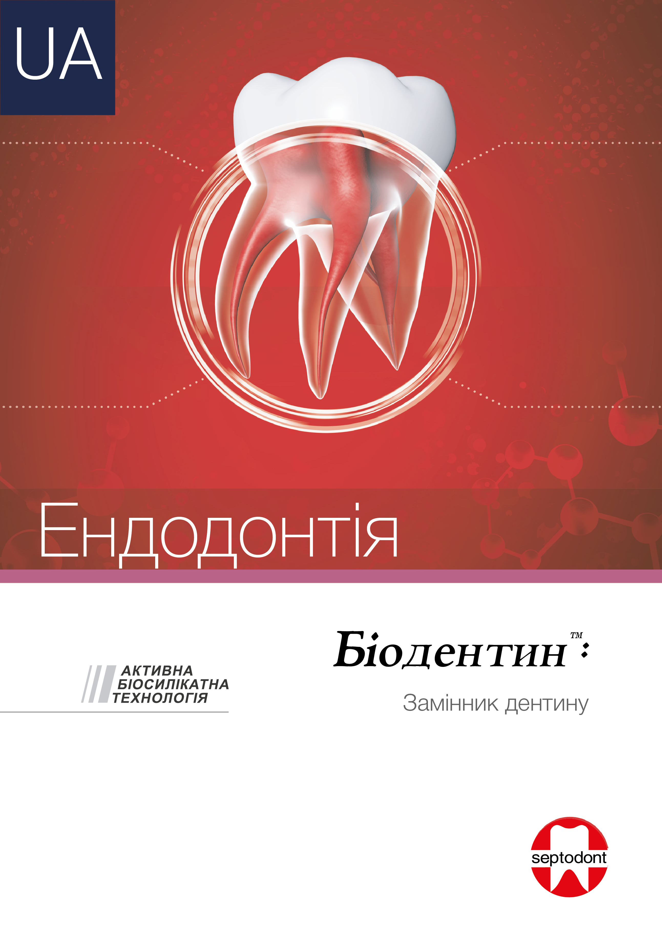 Біодентин. Ендодонтія